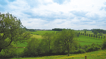 Groene heuvelachtige omgeving van Limburg